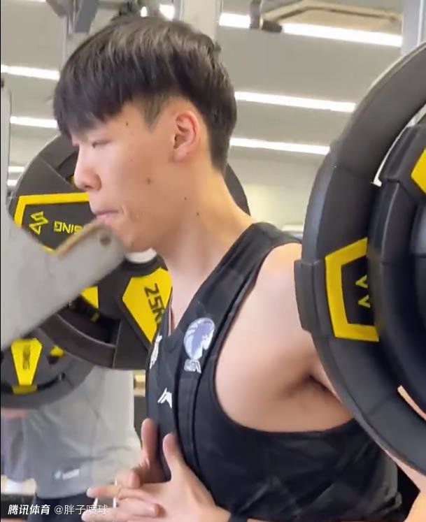 贫乳守护骑士